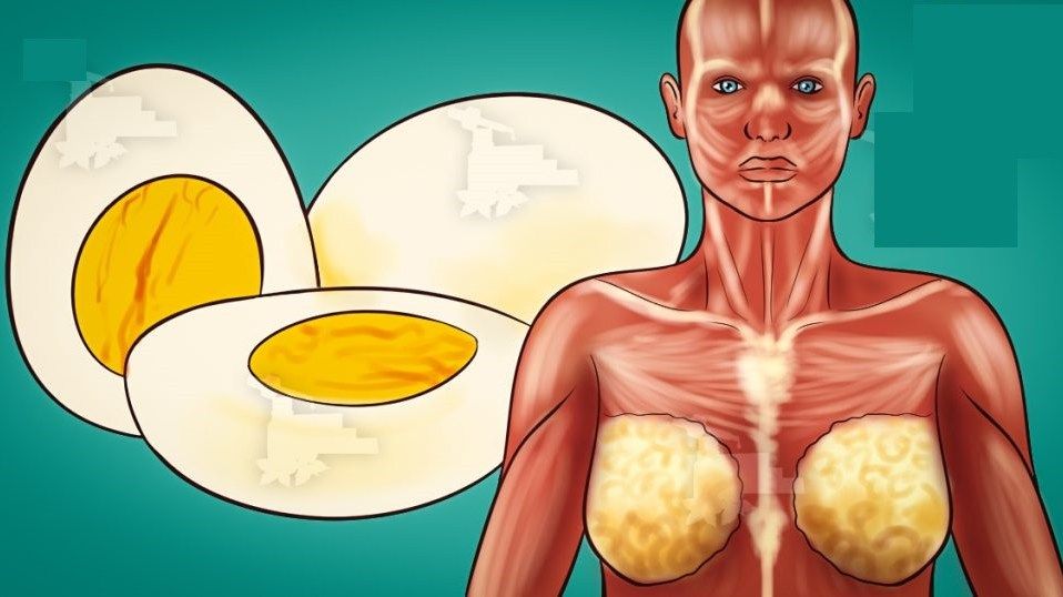 9 Things That Will Happen to Your Body in the event You Start Eating two Eggs a Day