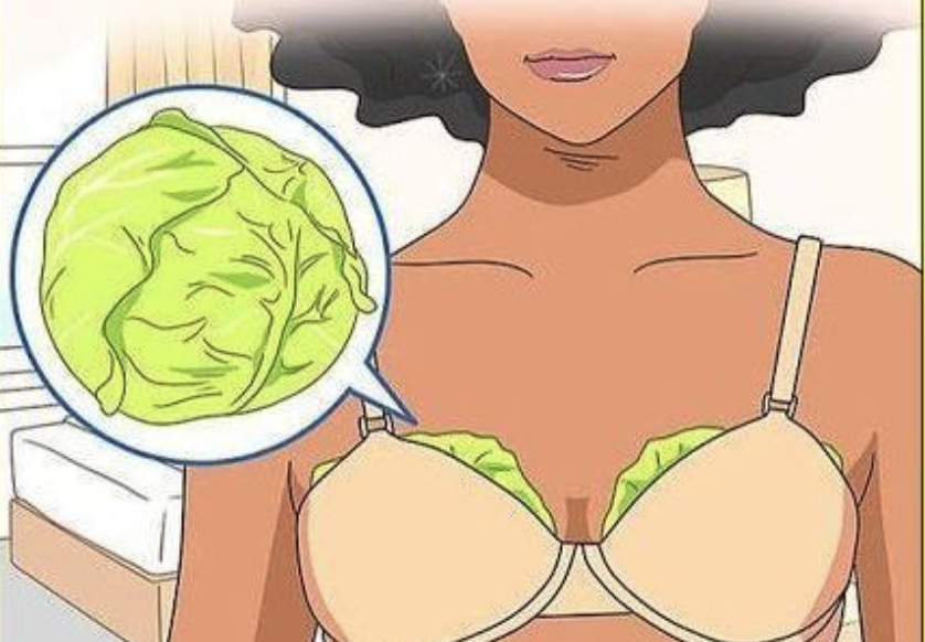 Wrap Your Breasts In Cabbage Leaves And Wait For 1 Hour