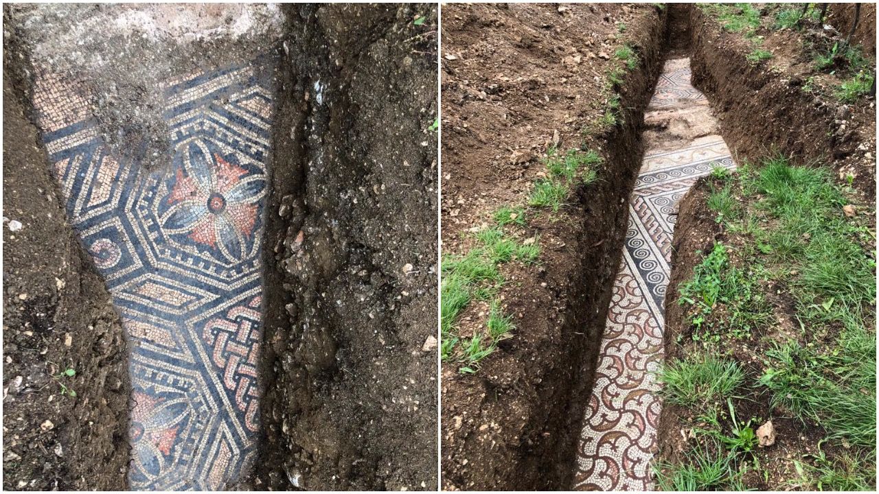 An ancient Roman mosaic has been discovered beneath a vineyard in Verona, Italy