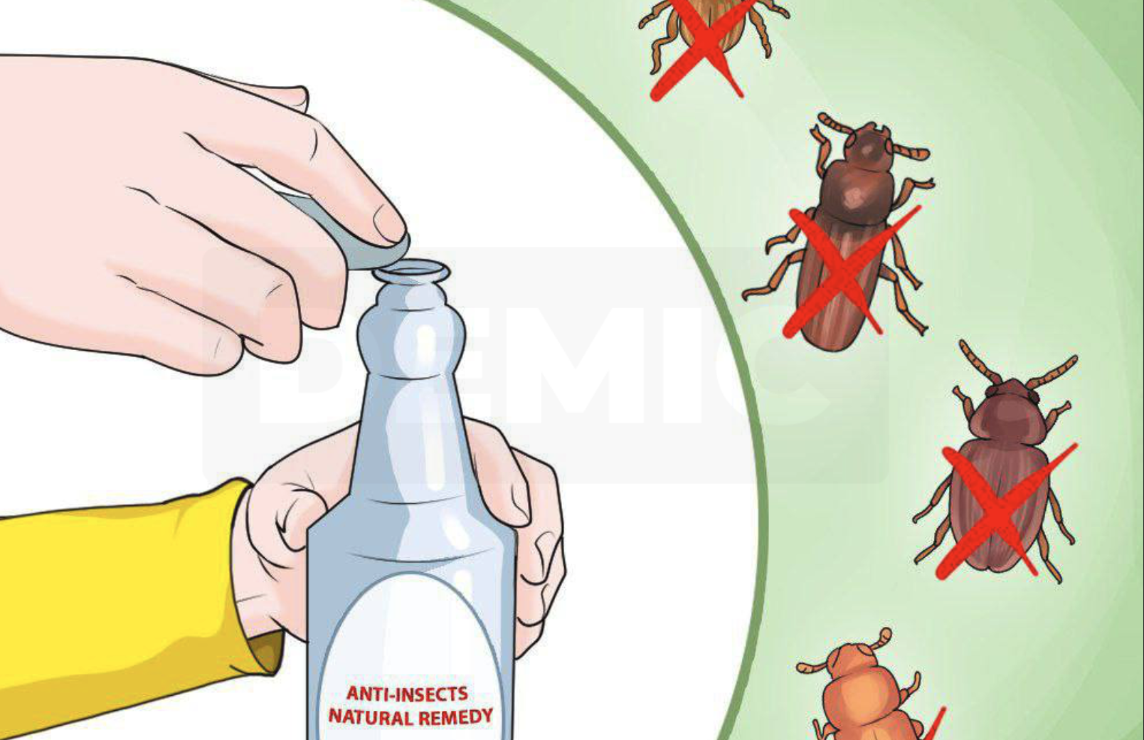 10 Unique Ways To Get Rid Of Spiders Without Using Chemicals