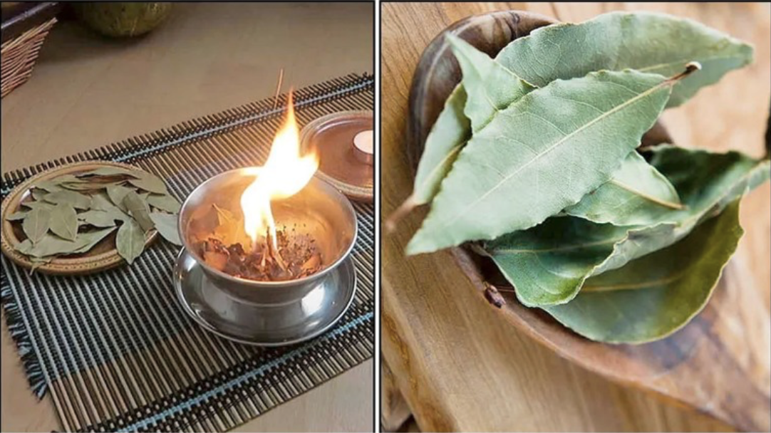 6 amazing benefits of burning bay leaves