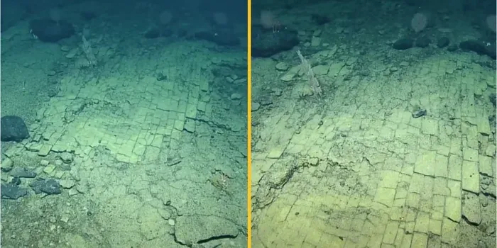 Scientists find strange “Yellow Brick Road” at the bottom of the Pacific Ocean