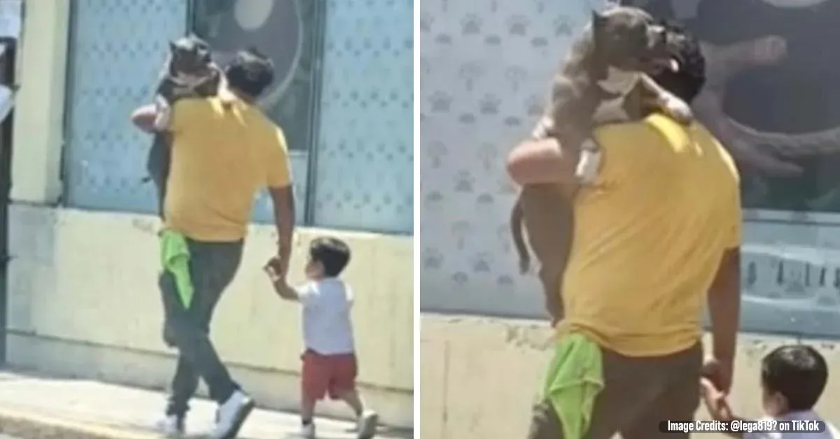 This Dad Praised For Choosing To Carry His Large Dog Instead His Small Son