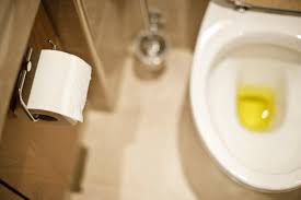 What the color of your urine says about your health