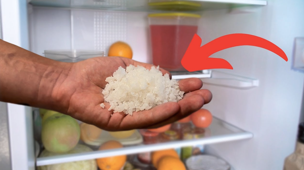 Refrigerator manufacturers hide it from us! Everyone should put salt in refrigerator shelf. Here’s Why