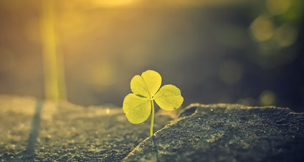 4 signs that luck is coming your way. No matter how many difficulties you have, they will pass soon