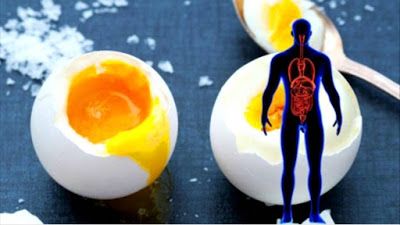 Start Eating 2 Eggs a Day And These 9 Things Will Happen To Your Body