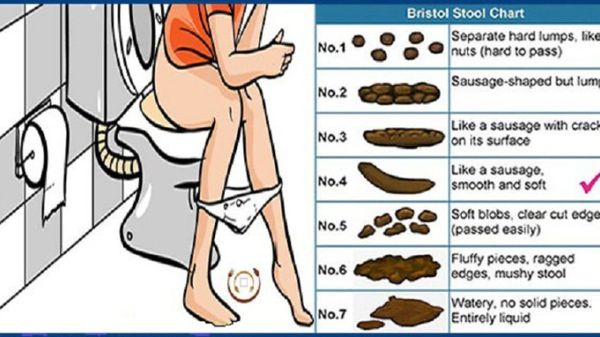 Believe It or Not, Your Poop Can Tell If You Are Healthy or Not!