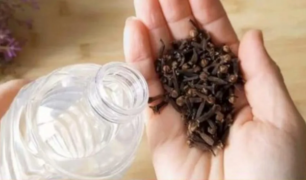 DIY Pest Control: Create a Vinegar and Cloves Mixture to Banish Annoying Insects from Your Home
