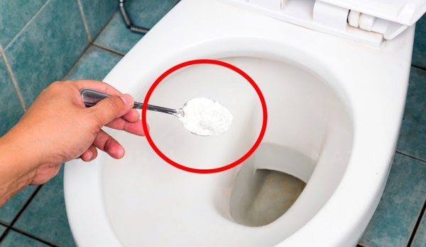 Put salt in your toilet. Here’s why. This is something plumbers will never tell you