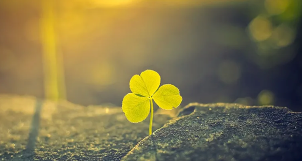 4 signs that luck is coming your way. No matter how many difficulties you have, they will pass soon